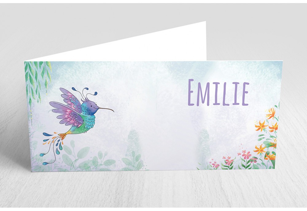 Kleurrijke kolibri Kleurrijke kolibri